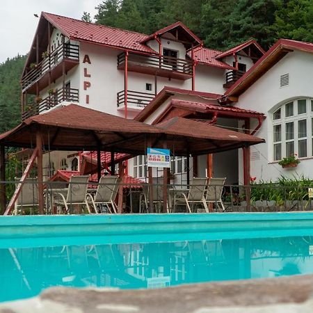 Pensiunea Alpin Пэлтиниш Экстерьер фото