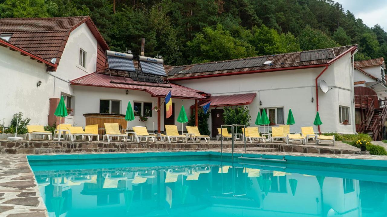 Pensiunea Alpin Пэлтиниш Экстерьер фото