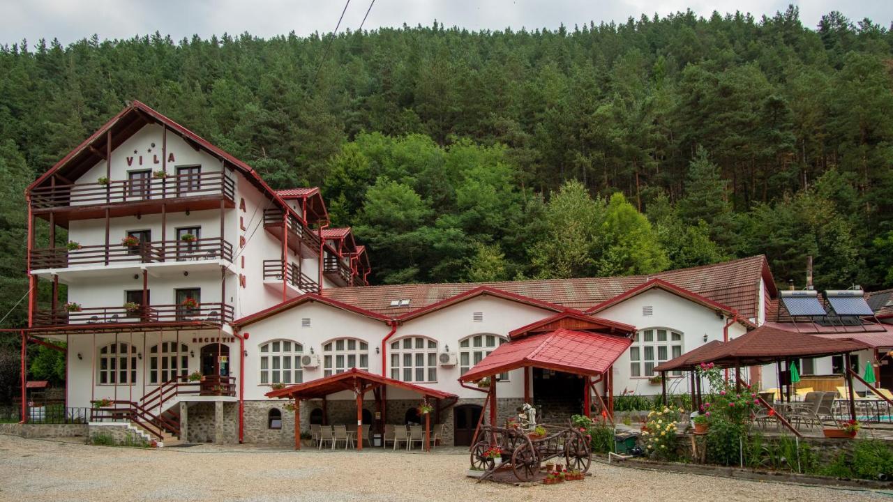 Pensiunea Alpin Пэлтиниш Экстерьер фото