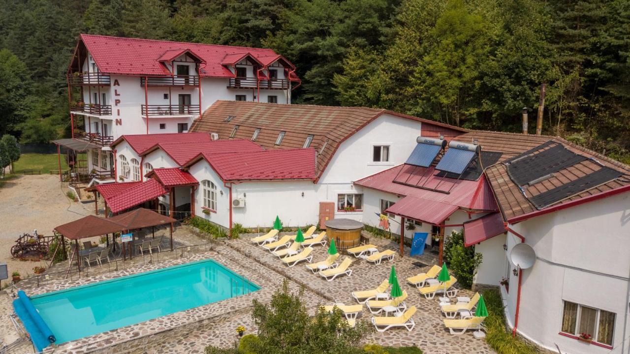 Pensiunea Alpin Пэлтиниш Экстерьер фото