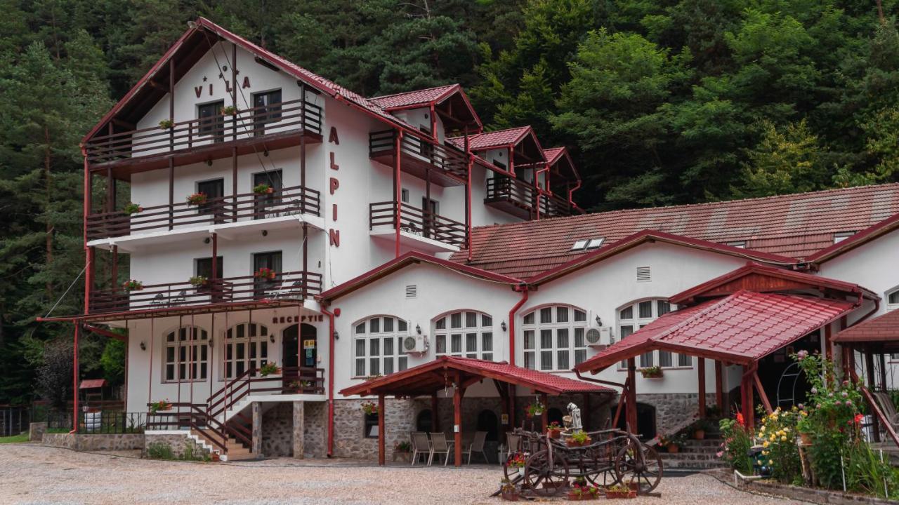 Pensiunea Alpin Пэлтиниш Экстерьер фото