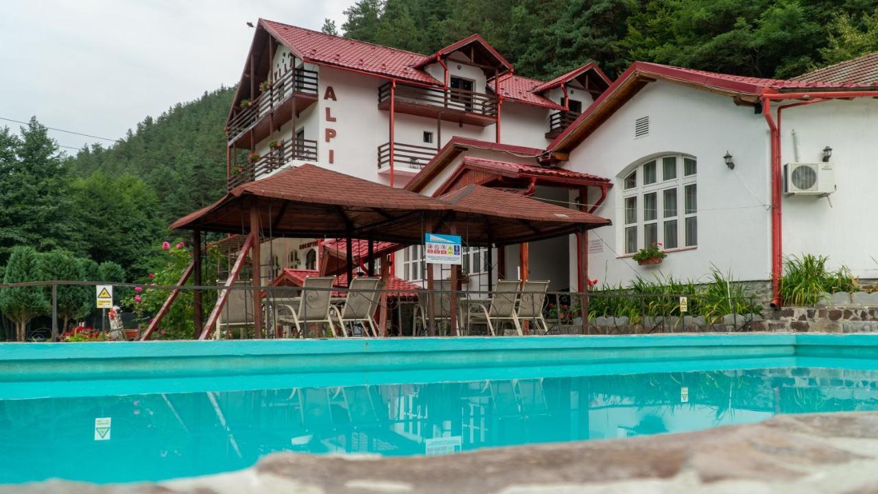 Pensiunea Alpin Пэлтиниш Экстерьер фото