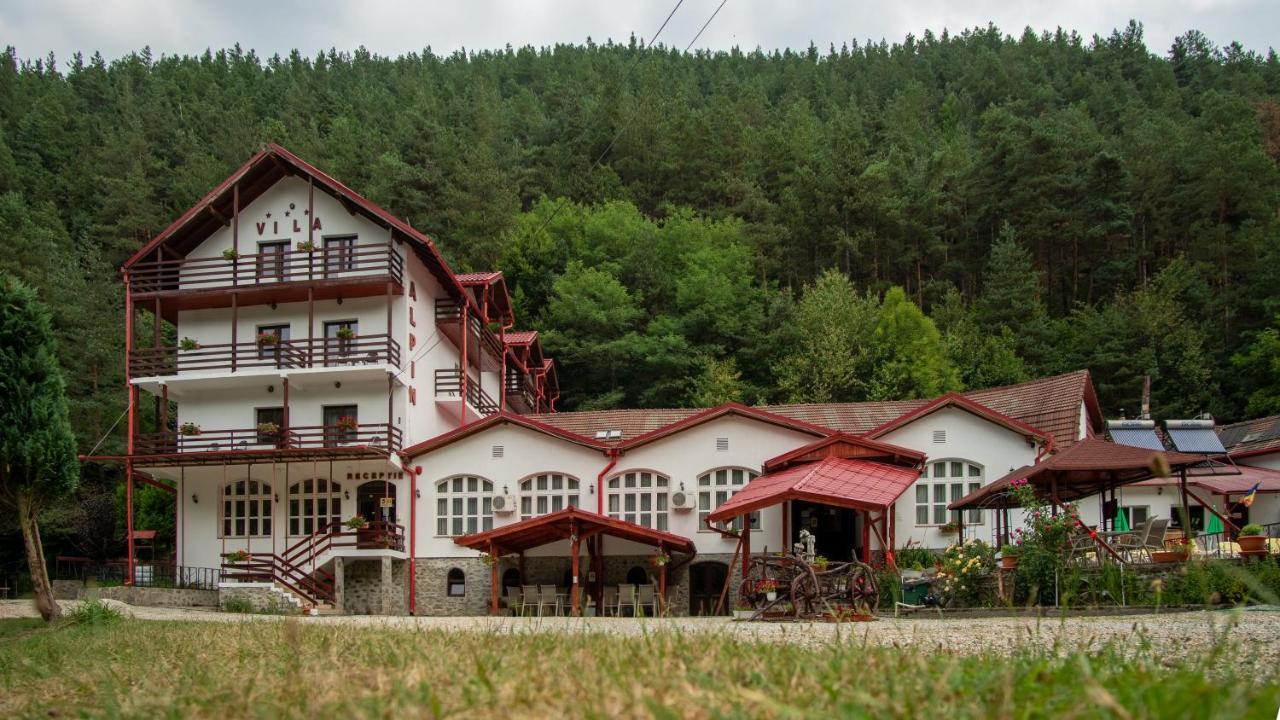 Pensiunea Alpin Пэлтиниш Экстерьер фото