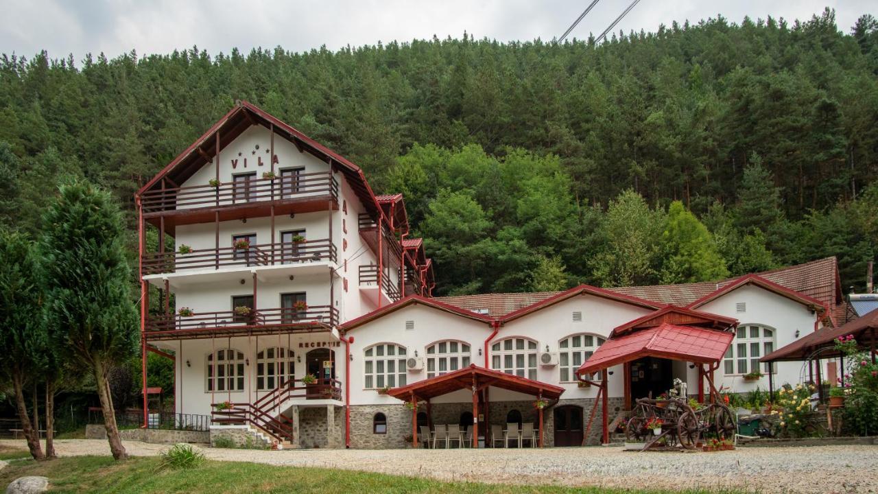 Pensiunea Alpin Пэлтиниш Экстерьер фото
